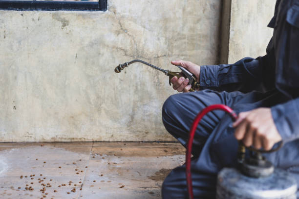 Best Local Pest Control Services  in Harrison, NJ